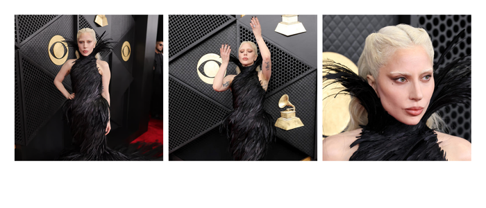 LADY GAGA CHOSE FEATHERS AND ALEXANDER MCQUEEN
